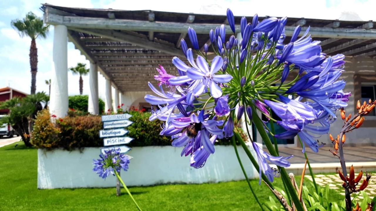 Blue Marine Apartment Pozzallo Bagian luar foto